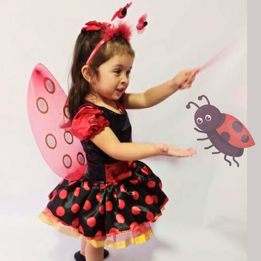 Disfraz Niña Mariquita Cosplay