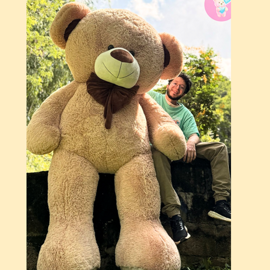 Oso De Peluche Extra Gigante 2.50 Metros
